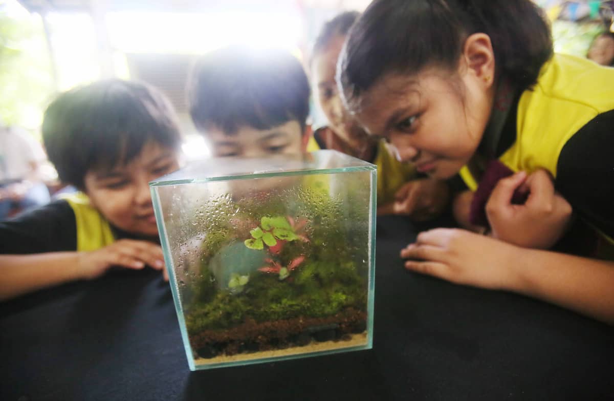 TRIBUNE-ManilaWater-ArborDay